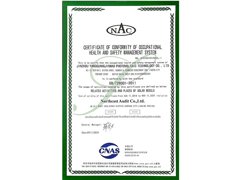 職業(yè)健康安全管理體系認(rèn)證證書(shū)（英文）
