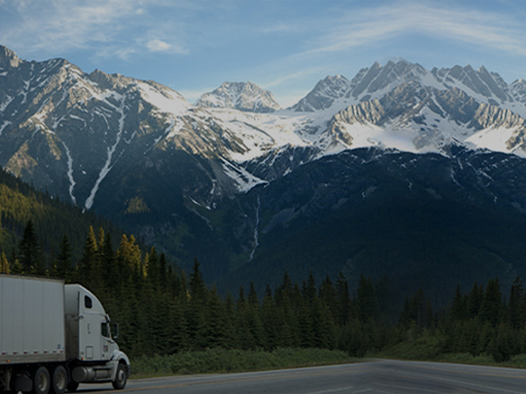 打造綠色典范工程！陽光能源助力中廣核新能源吉林白城項目順利開工