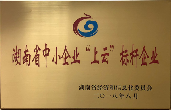 湖南省中小企業“上云”標桿企業